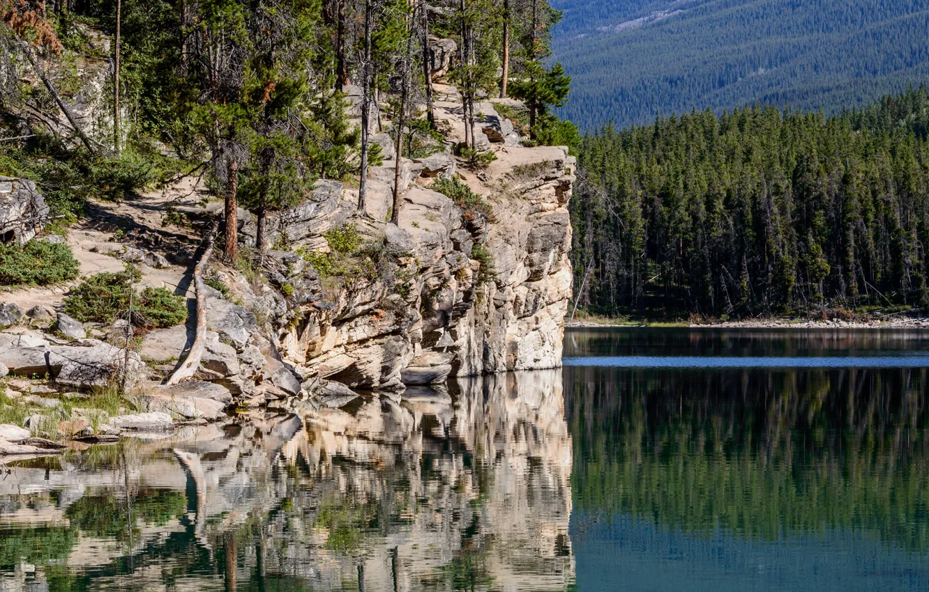 Photo wallpaper forest, trees, mountains, lake, rocks, slope