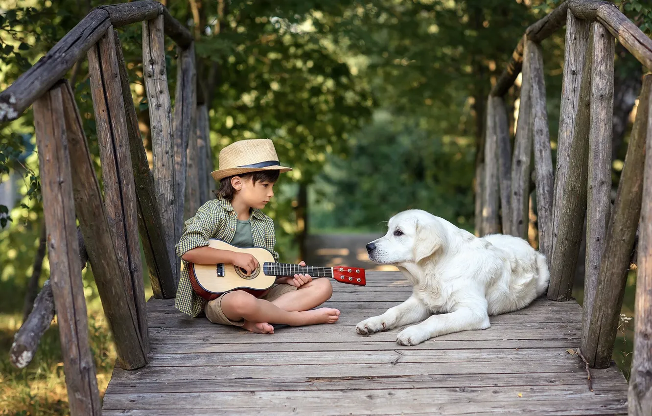 Photo wallpaper nature, each, guitar, dog, hat, boy, puppy, guitarist