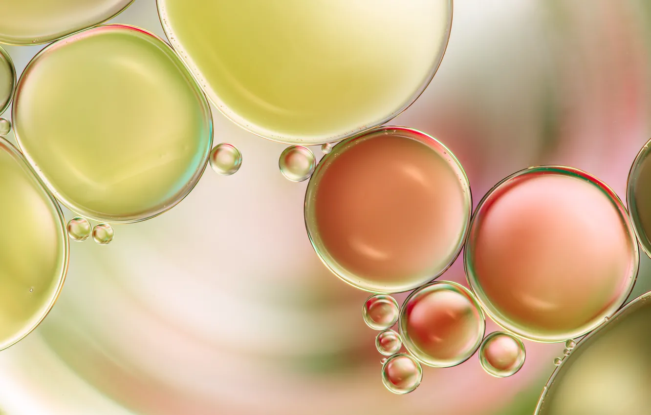 Photo wallpaper water, circles, oil