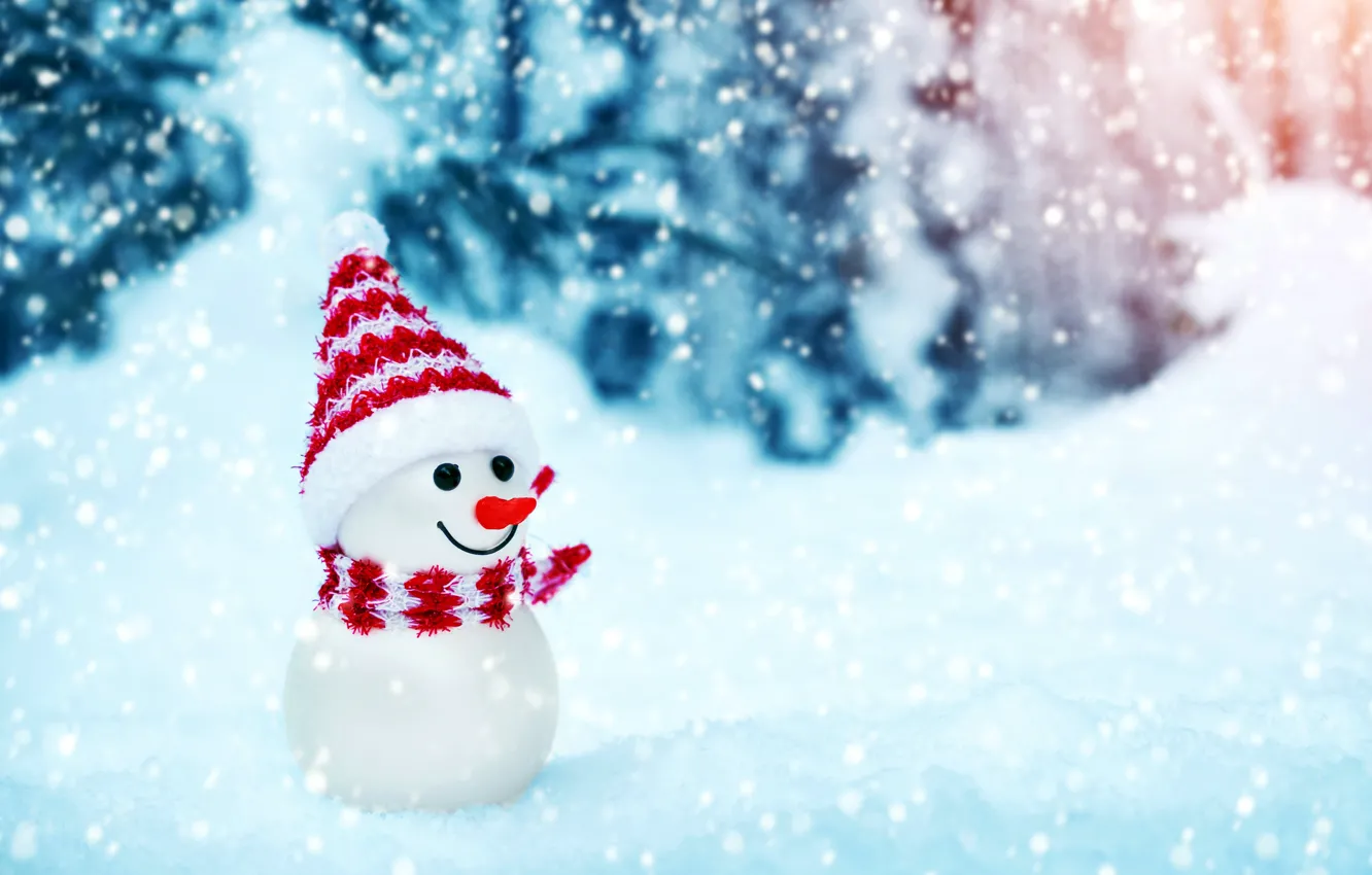 Photo wallpaper christmas, winter, snow, snowman