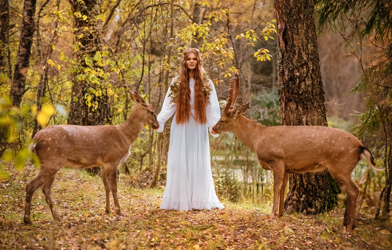 Photo wallpaper woman, deer, Alexandra Savenkova