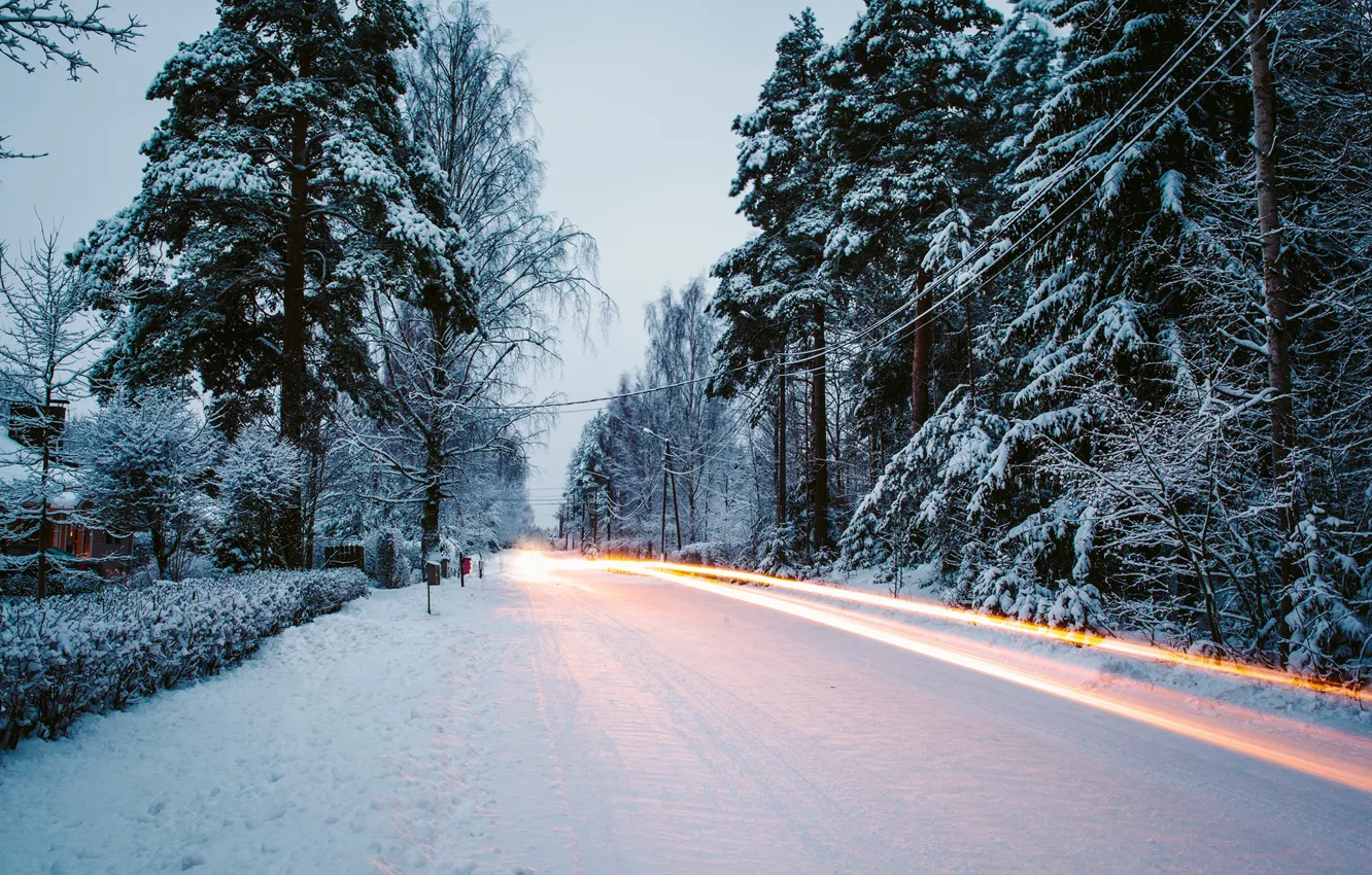 Photo wallpaper winter, road, snow, trees, nature, tree, excerpt