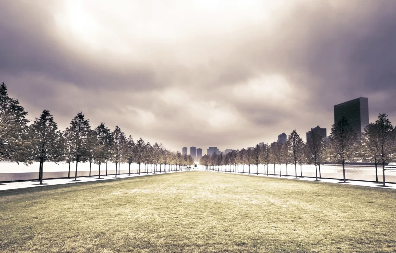 Photo wallpaper trees, skyscrapers, alley