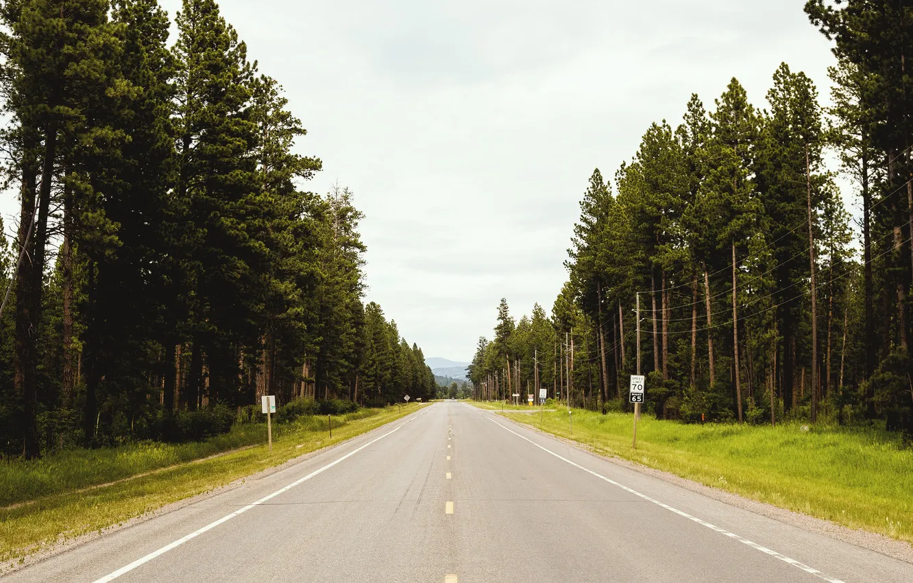 Photo wallpaper road, the sky, trees, nature, horizon