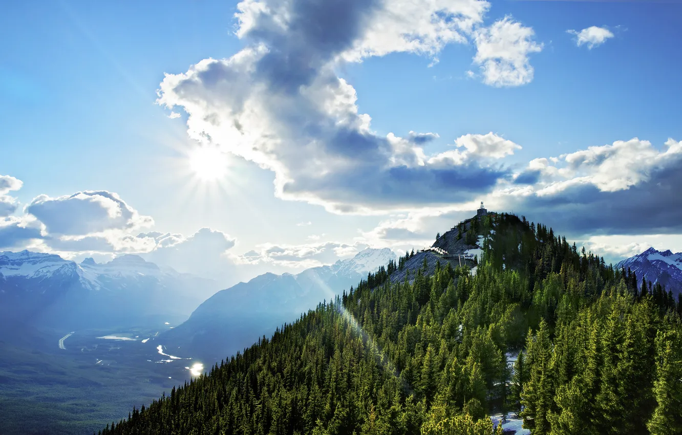 Photo wallpaper forest, the sky, nature, height, mountain, Sulphur Mountain
