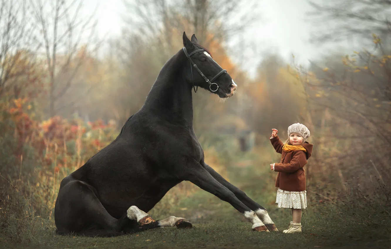 Photo wallpaper horse, girl, baby, taming
