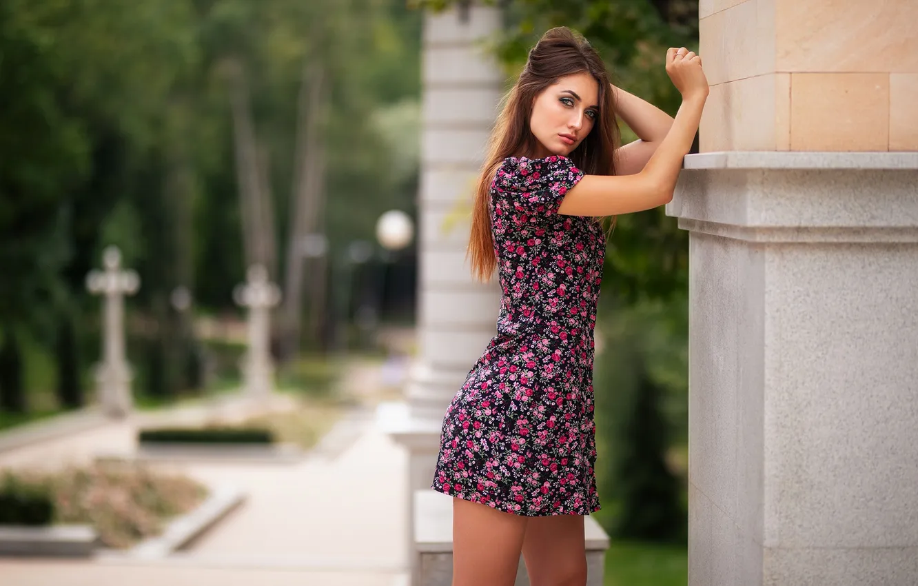 Photo wallpaper look, girl, pose, hands, dress, long hair, Dmitry Shulgin