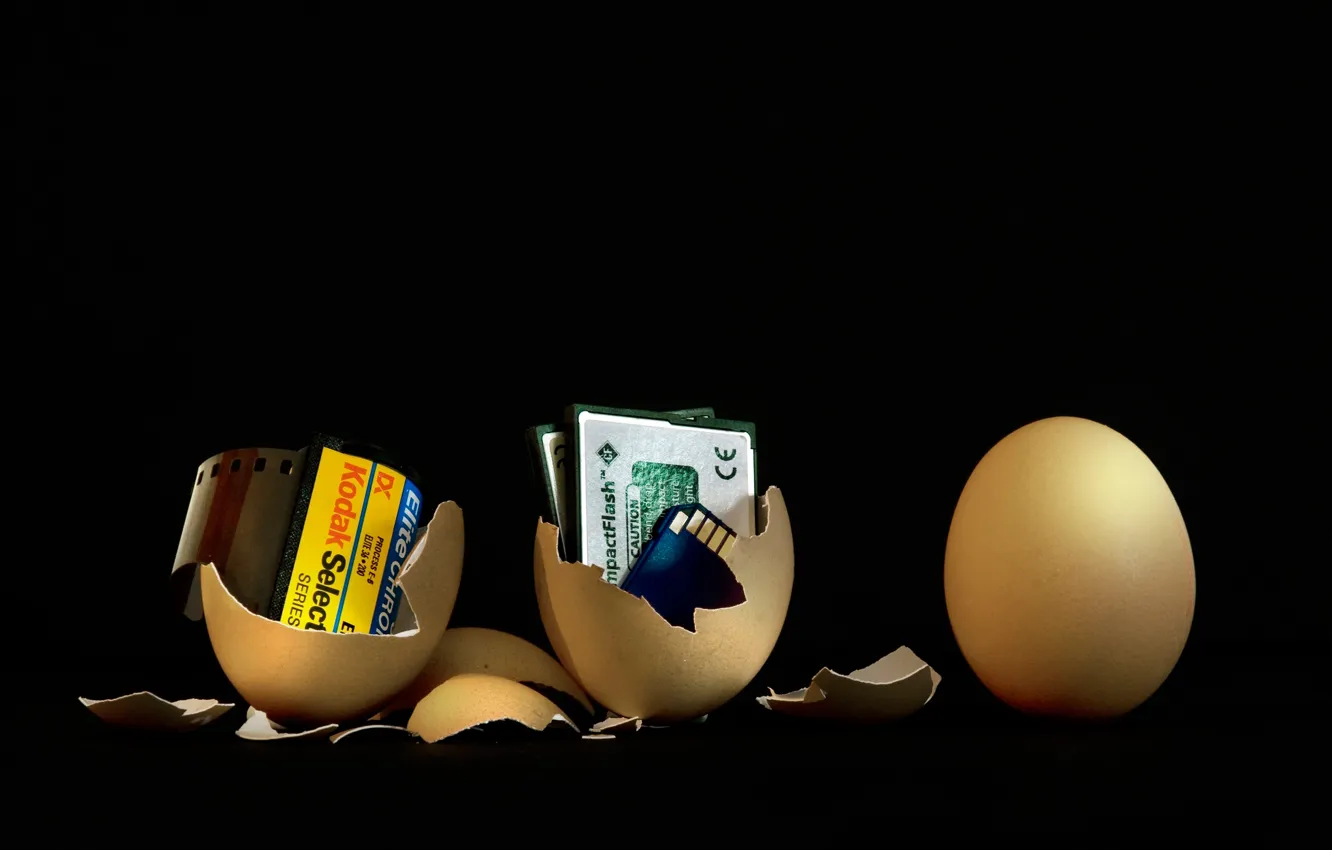 Photo wallpaper egg, technology, evolution, film, waiting for the new, memory card