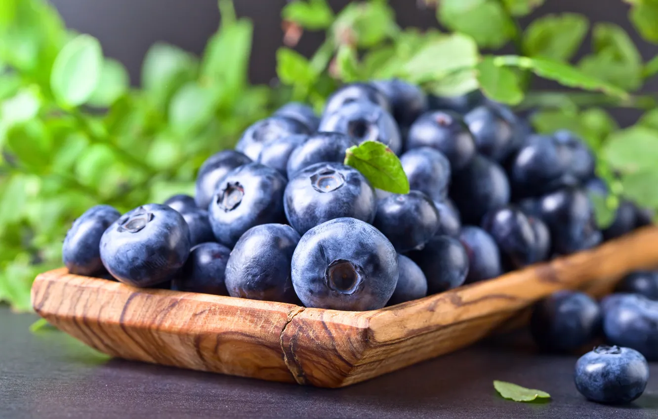 Photo wallpaper macro, berries, blueberries