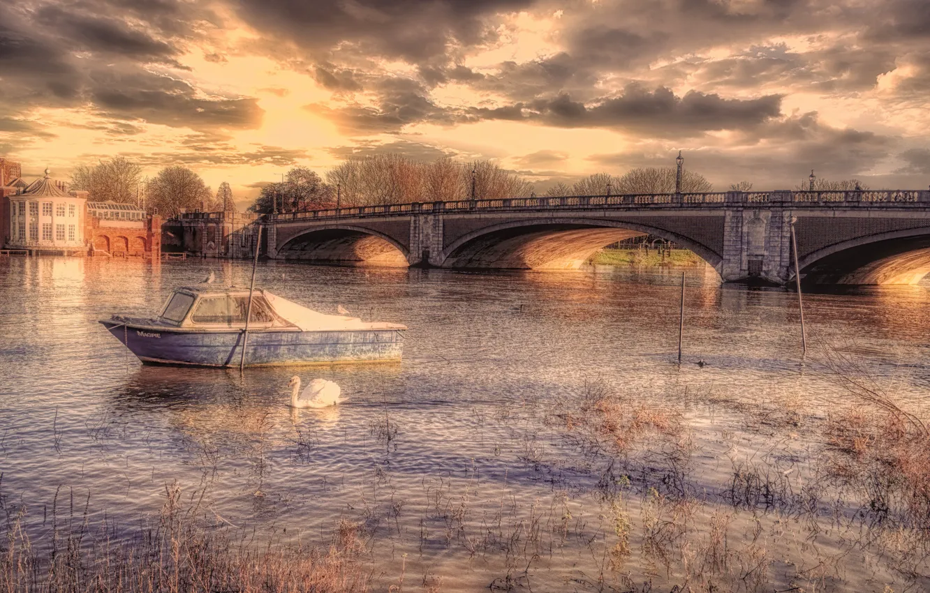 Photo wallpaper bridge, river, Swan