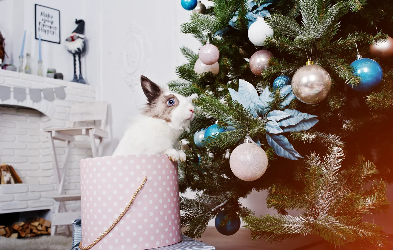 Photo wallpaper balls, branches, room, box, new year, hare, rabbit, Christmas