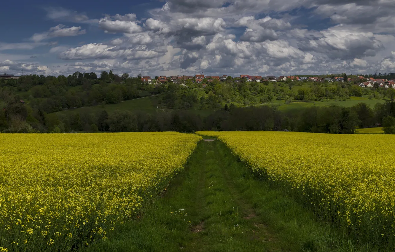 Photo wallpaper road, field, the sky, clouds, trees, flowers, the way, hills
