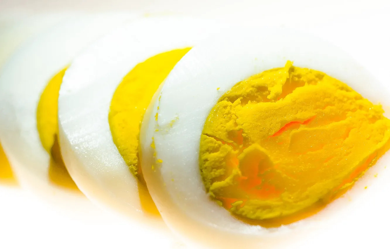 Photo wallpaper macro, food, egg