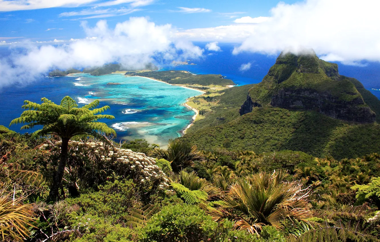Photo wallpaper clouds, mountains, palm trees, the ocean, coast, island, Australia, panorama