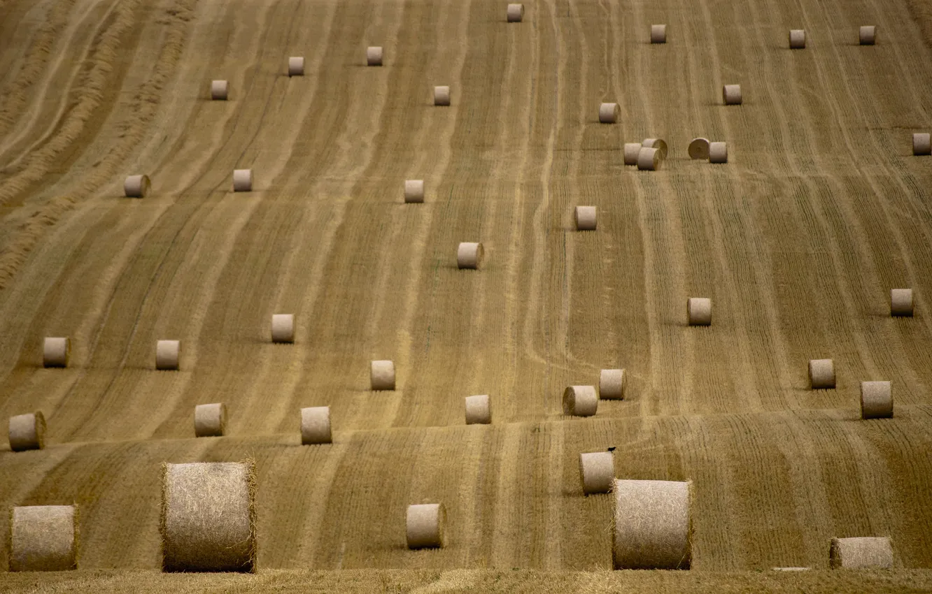 Photo wallpaper field, summer, nature, hay, bales, rolls