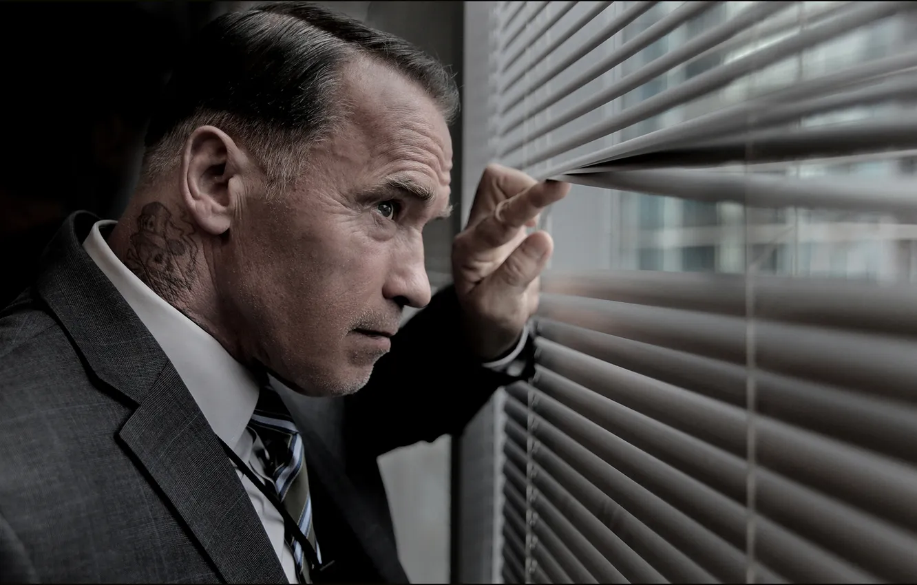 Photo wallpaper Arnold Schwarzenegger, Arnold, Schwarzenegger, Sabotage, Sabotage