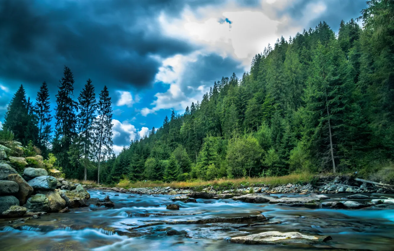 Photo wallpaper forest, landscape, clouds, nature, river, stones, shore
