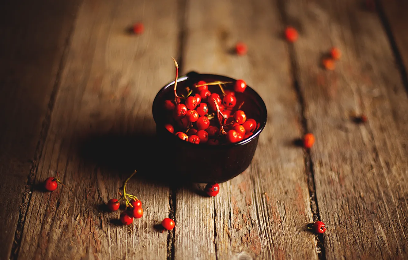 Photo wallpaper berries, Board, Rowan, rowanberry