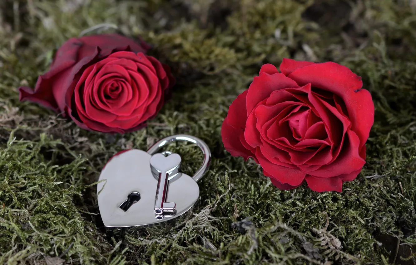 Photo wallpaper roses, flowers, key, castle, valentine's day