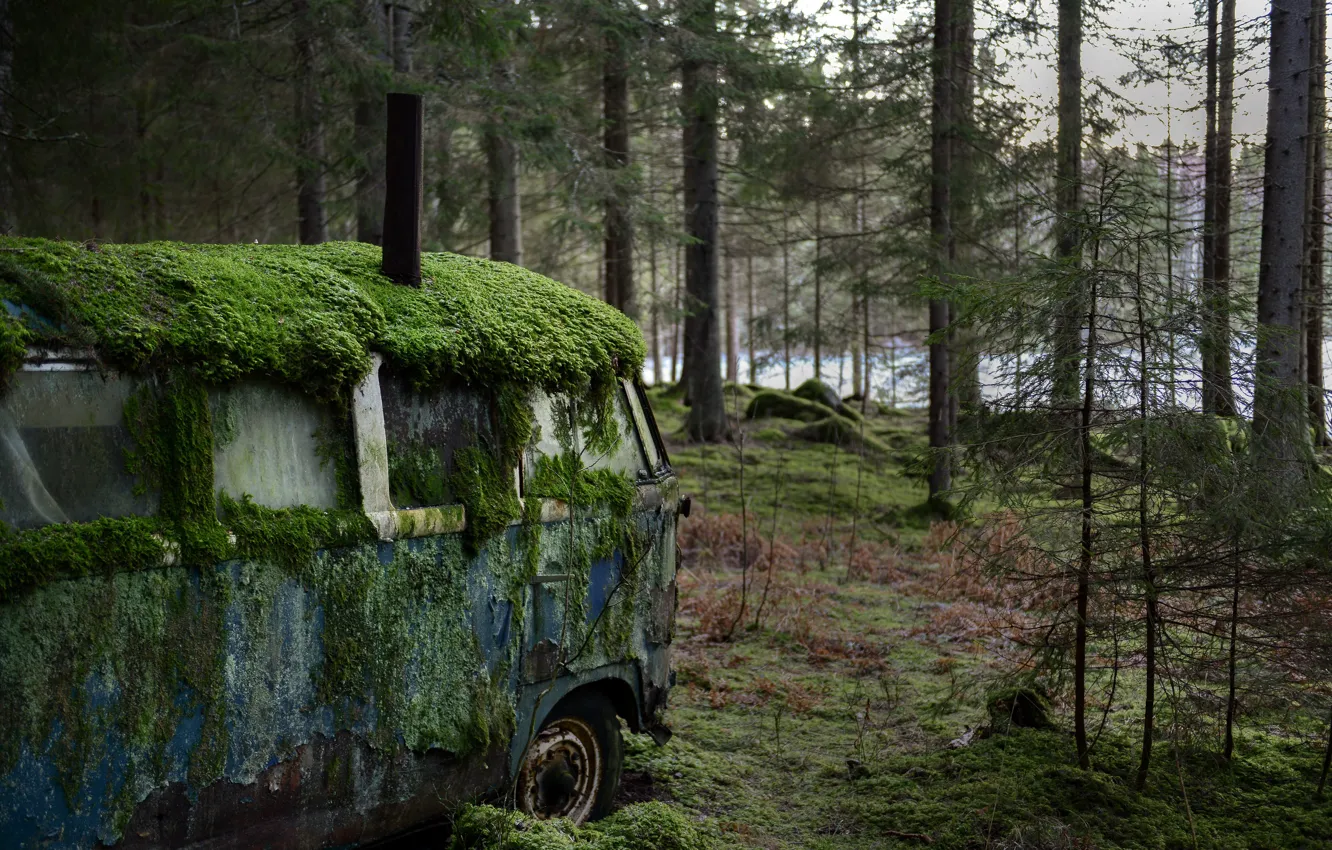 Photo wallpaper moss, bus, scrap