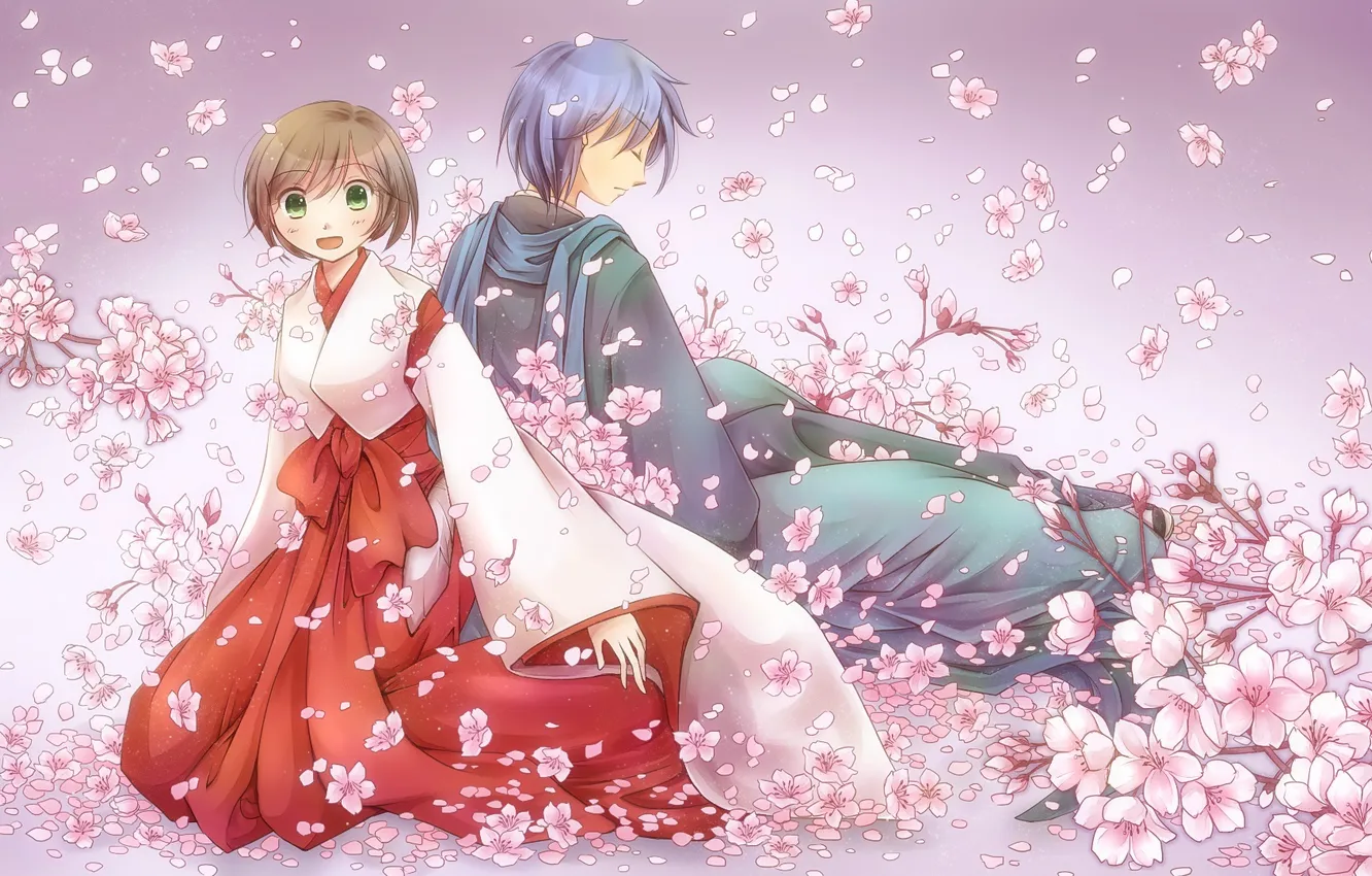 Photo wallpaper girl, flowers, Sakura, art, guy, vocaloid, meiko, kaito