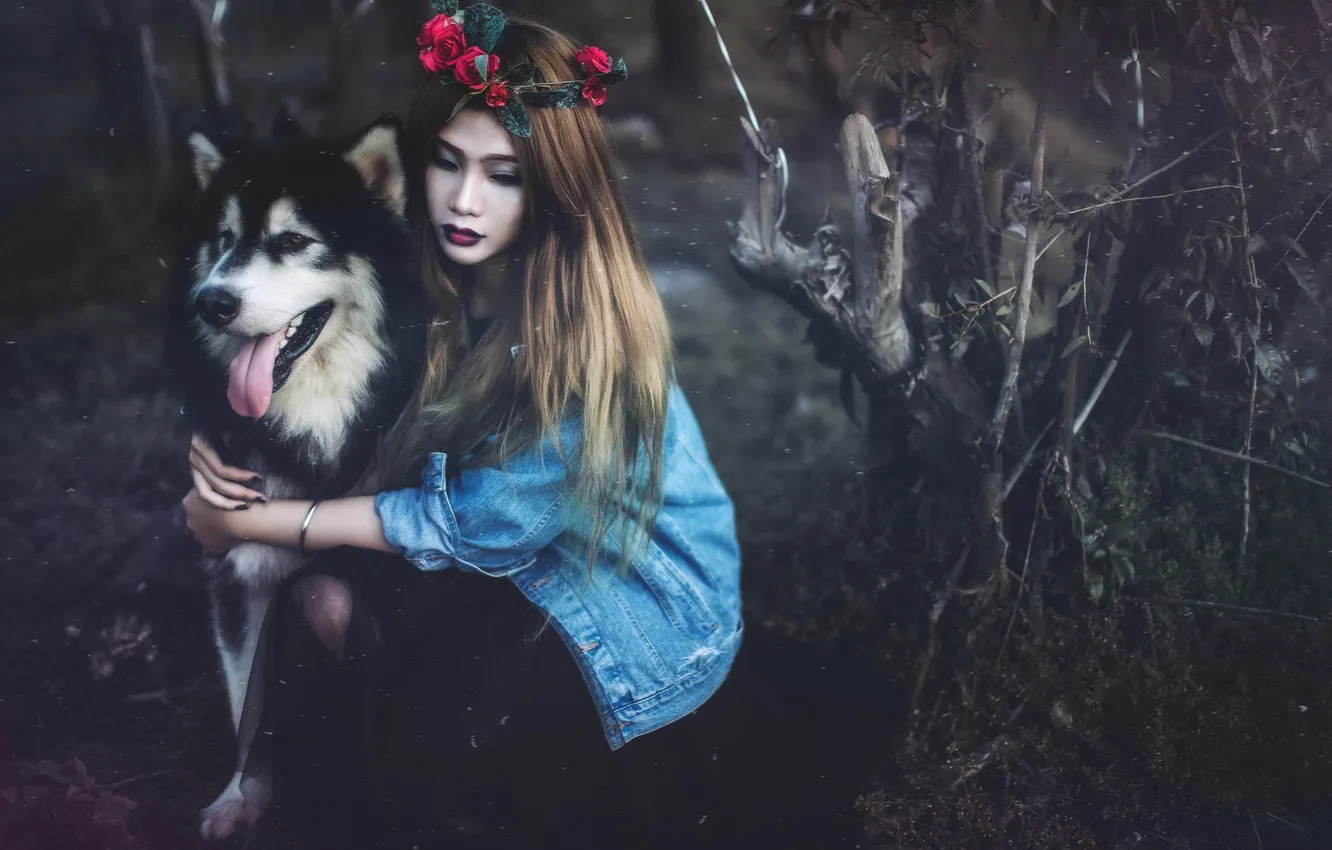 Photo wallpaper girl, background, dog