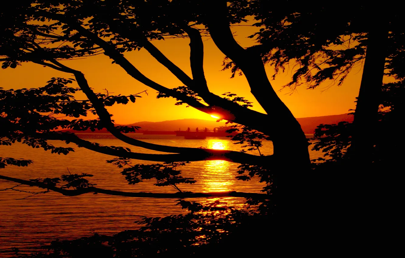 Photo wallpaper sea, the sky, trees, sunset, mountains, ship, silhouette