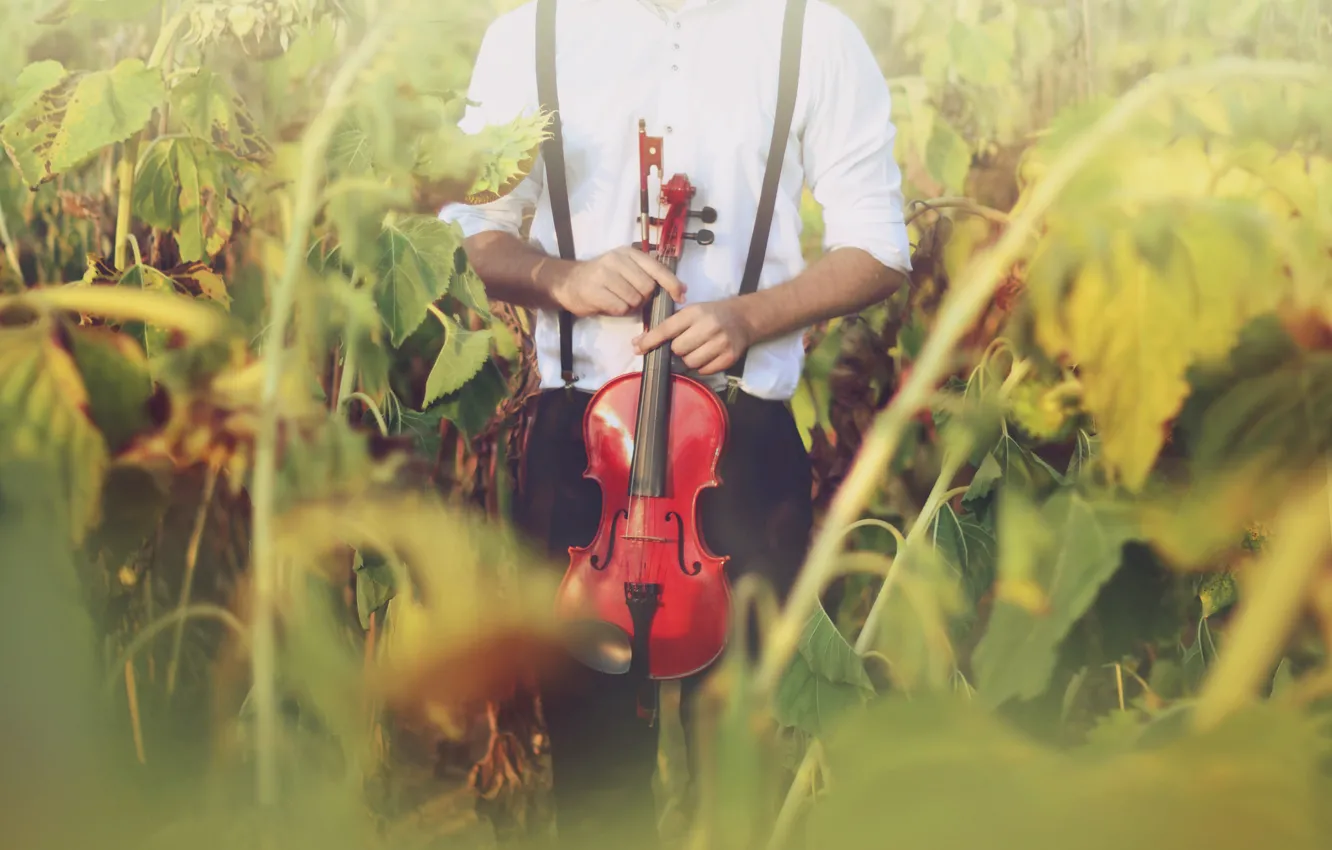 Photo wallpaper sunflowers, violin, people