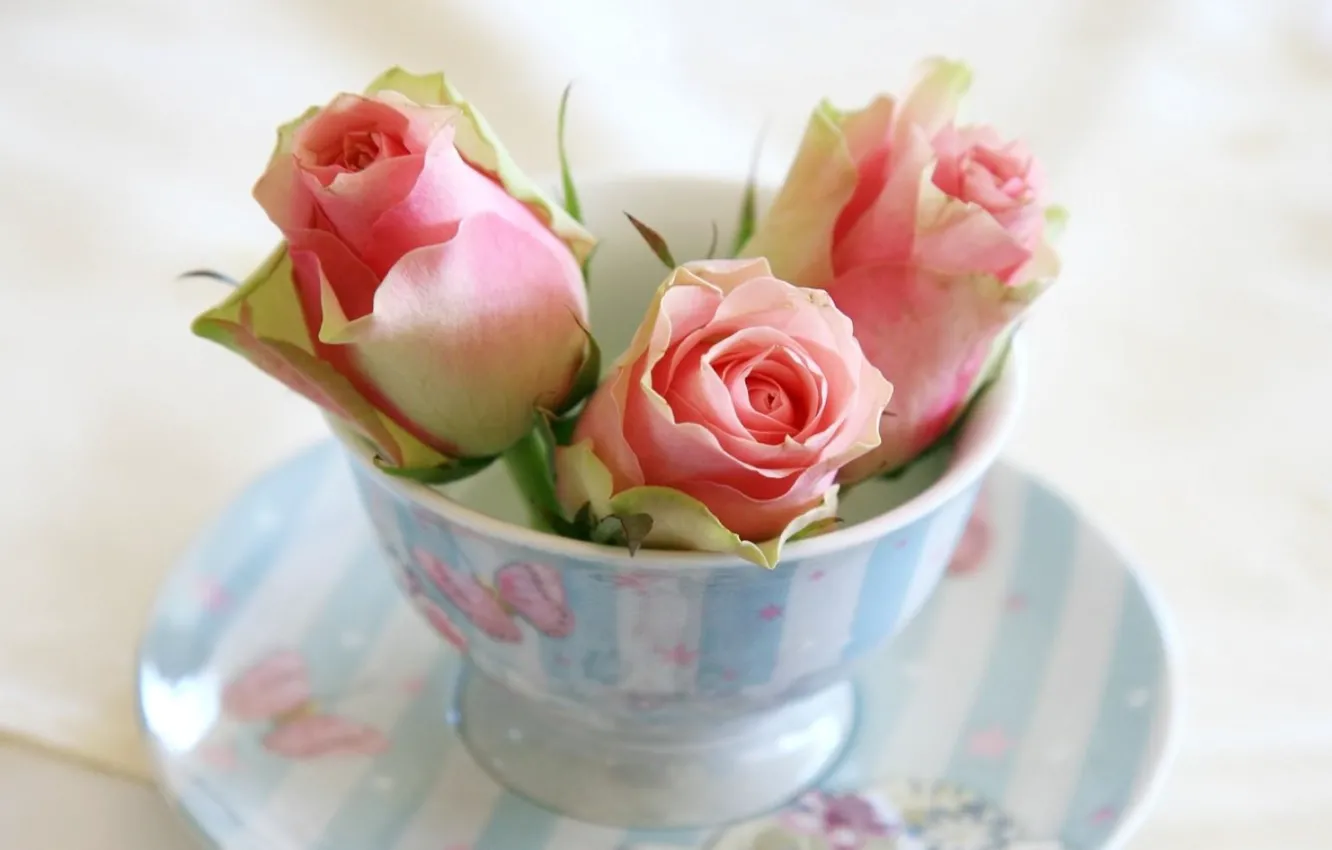 Photo wallpaper flowers, roses, chashka, blyudce, butony, rozy