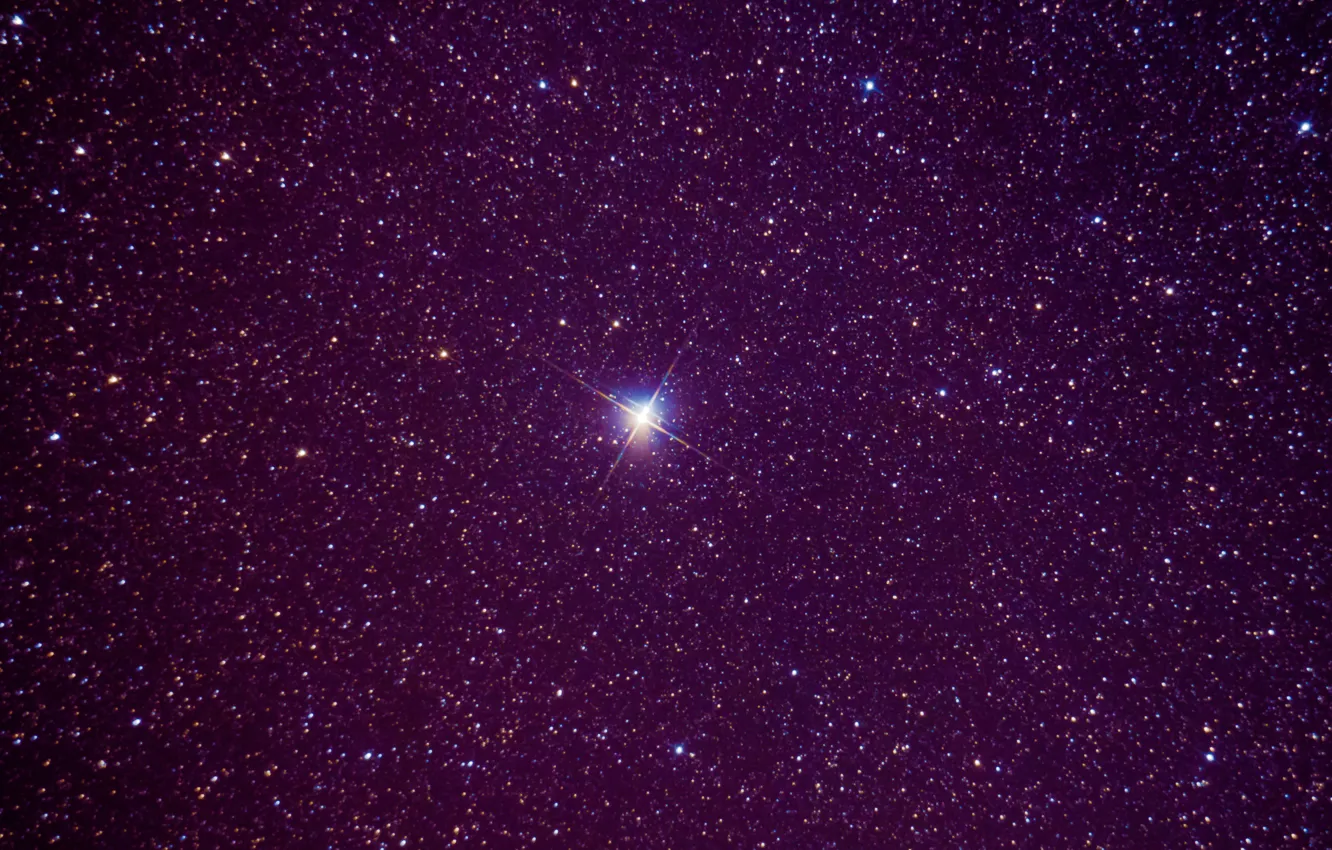 Photo wallpaper the sky, swans, constellation, hemisphere, North, Cygnus, star