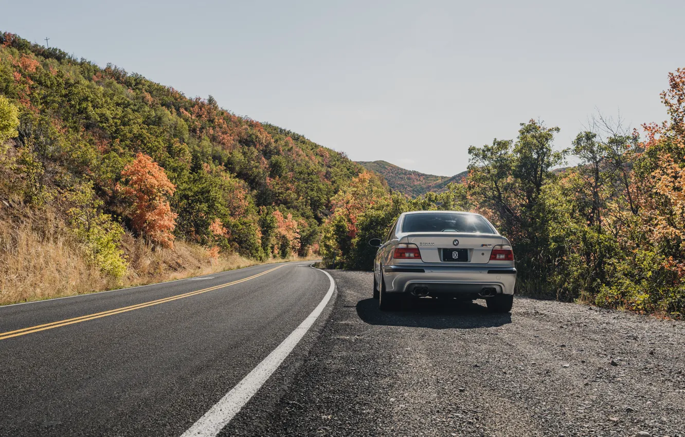 Photo wallpaper Autumn, Rear view, E39, Road, M5