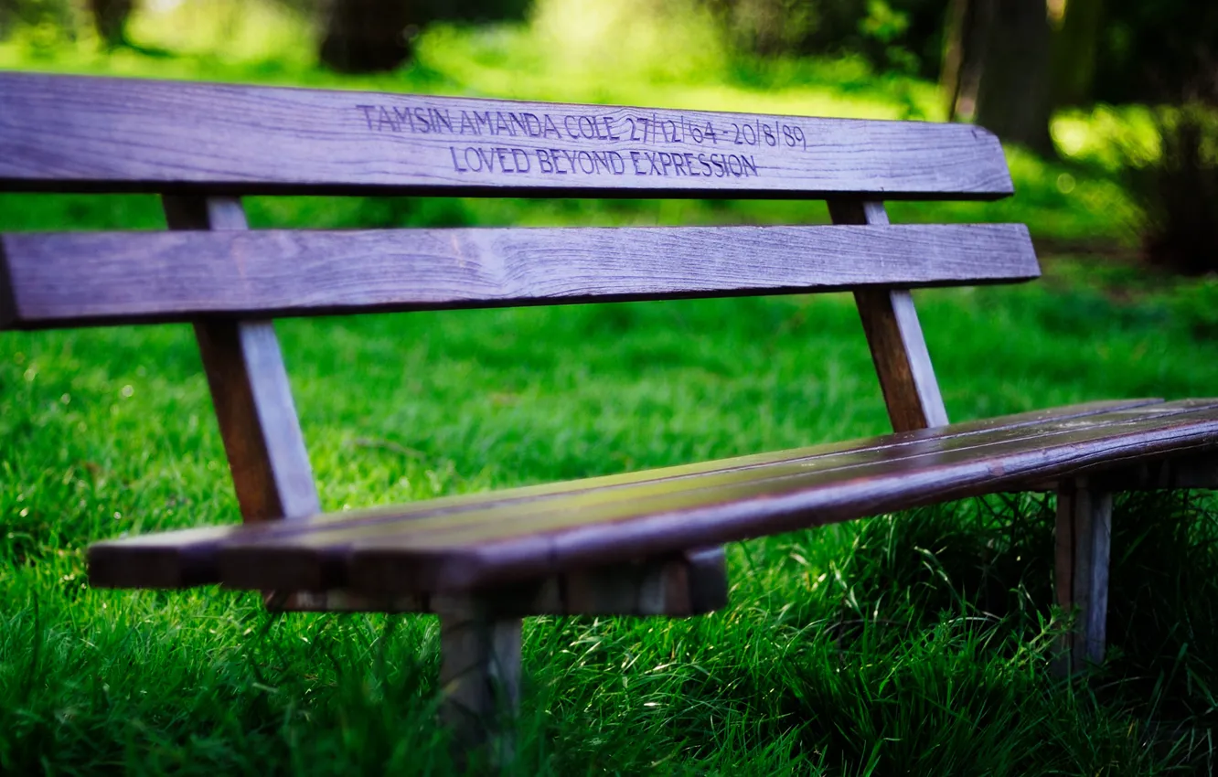 Photo wallpaper greens, grass, bench, mood, shop, shop, bench