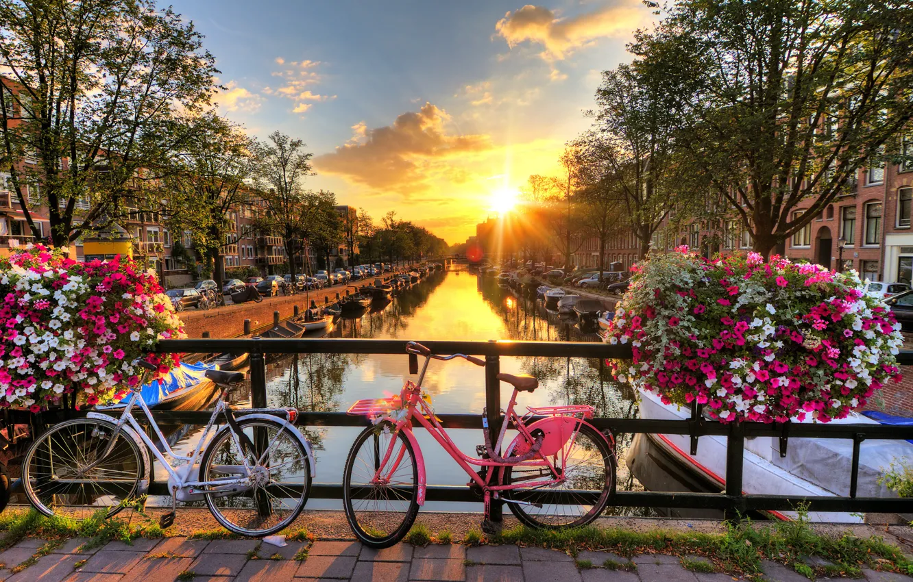Photo wallpaper rays, sunset, flowers, machine, bridge, the city, home, boats