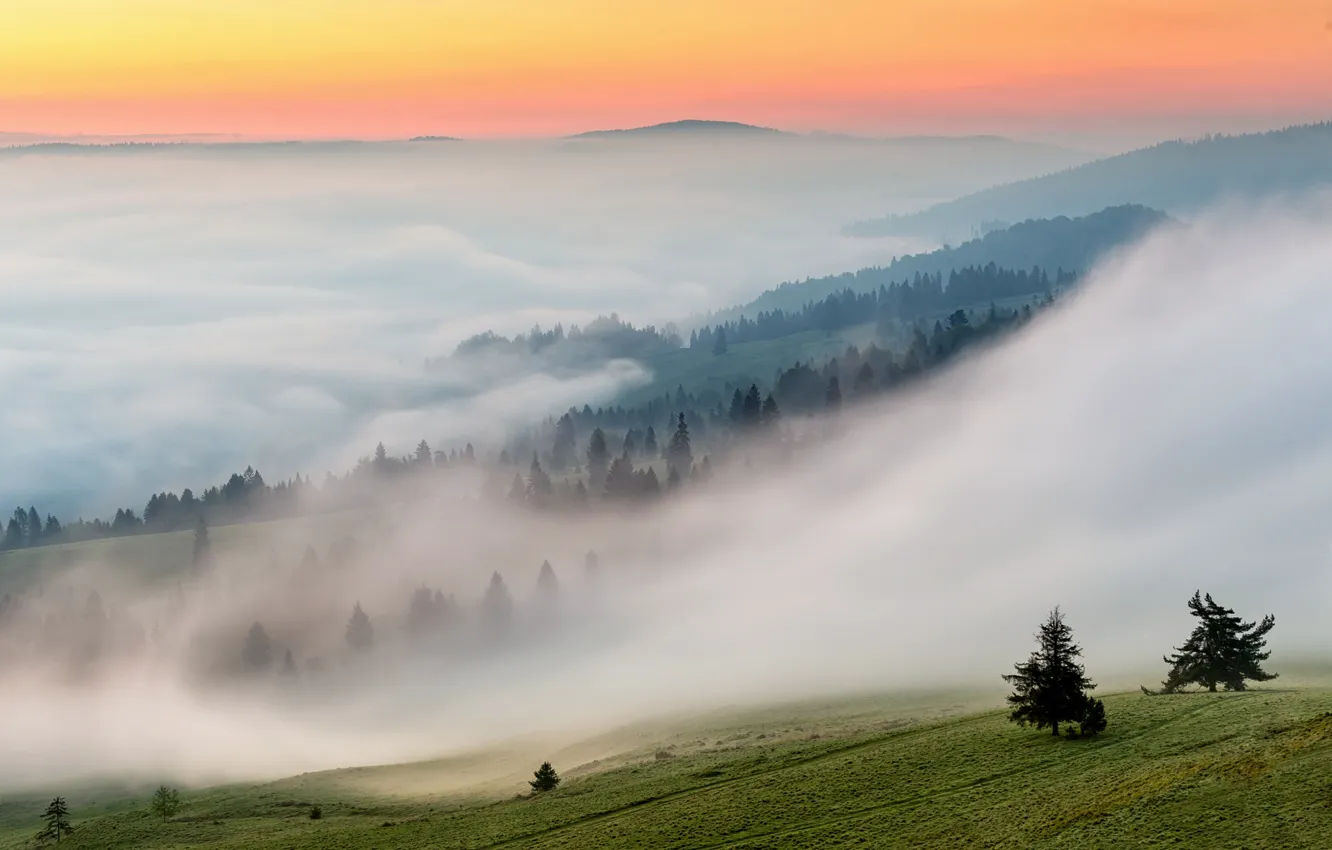 Photo wallpaper nature, fog, morning, slope