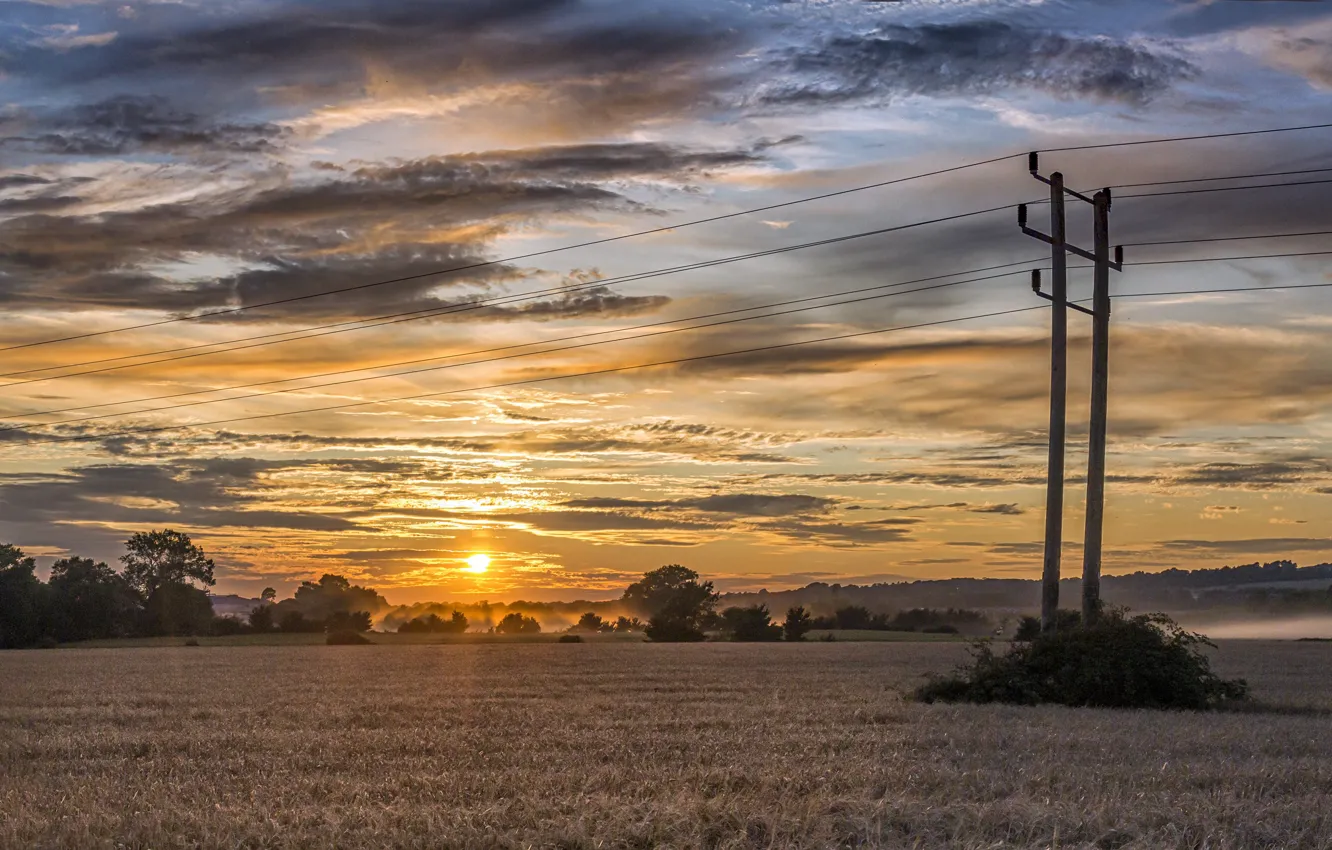 Photo wallpaper field, summer, sunset