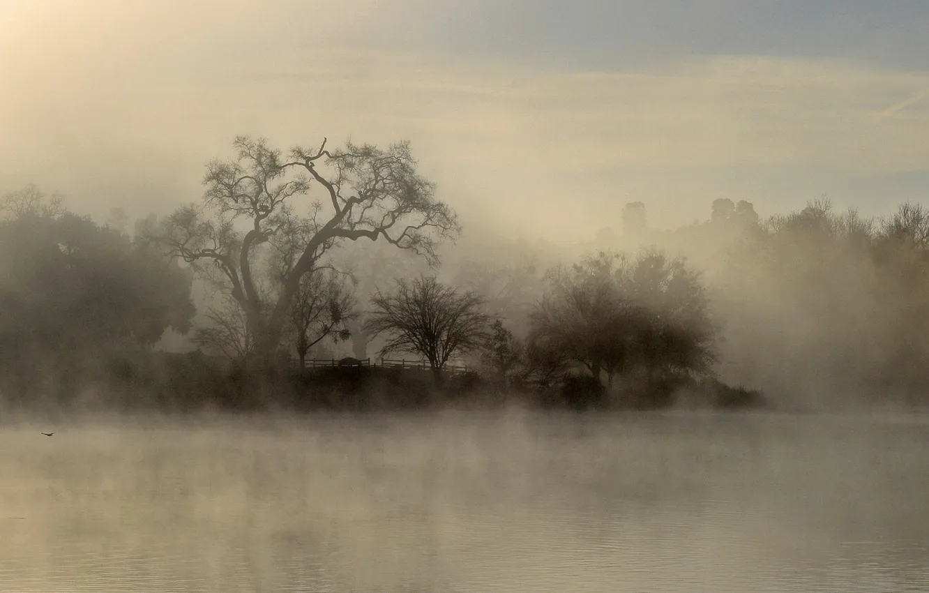 Photo wallpaper the sky, trees, landscape, nature, fog, lake, sky, trees
