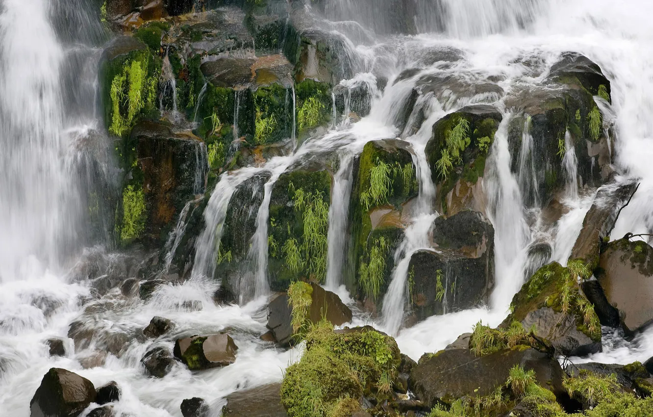 Photo wallpaper greens, grass, water, landscapes, waterfall