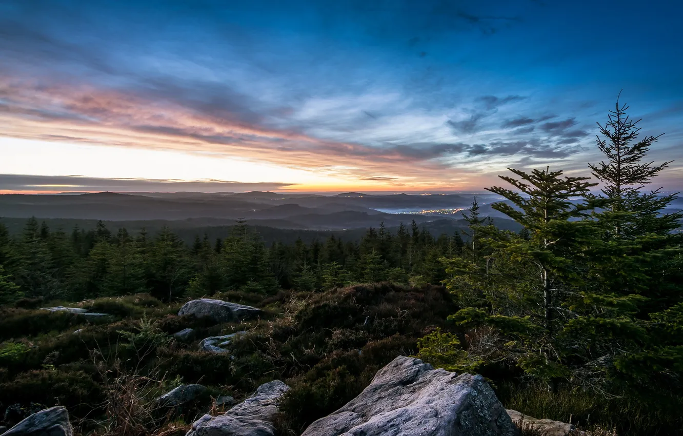 Photo wallpaper forest, mountain, Lorraine, Vosges