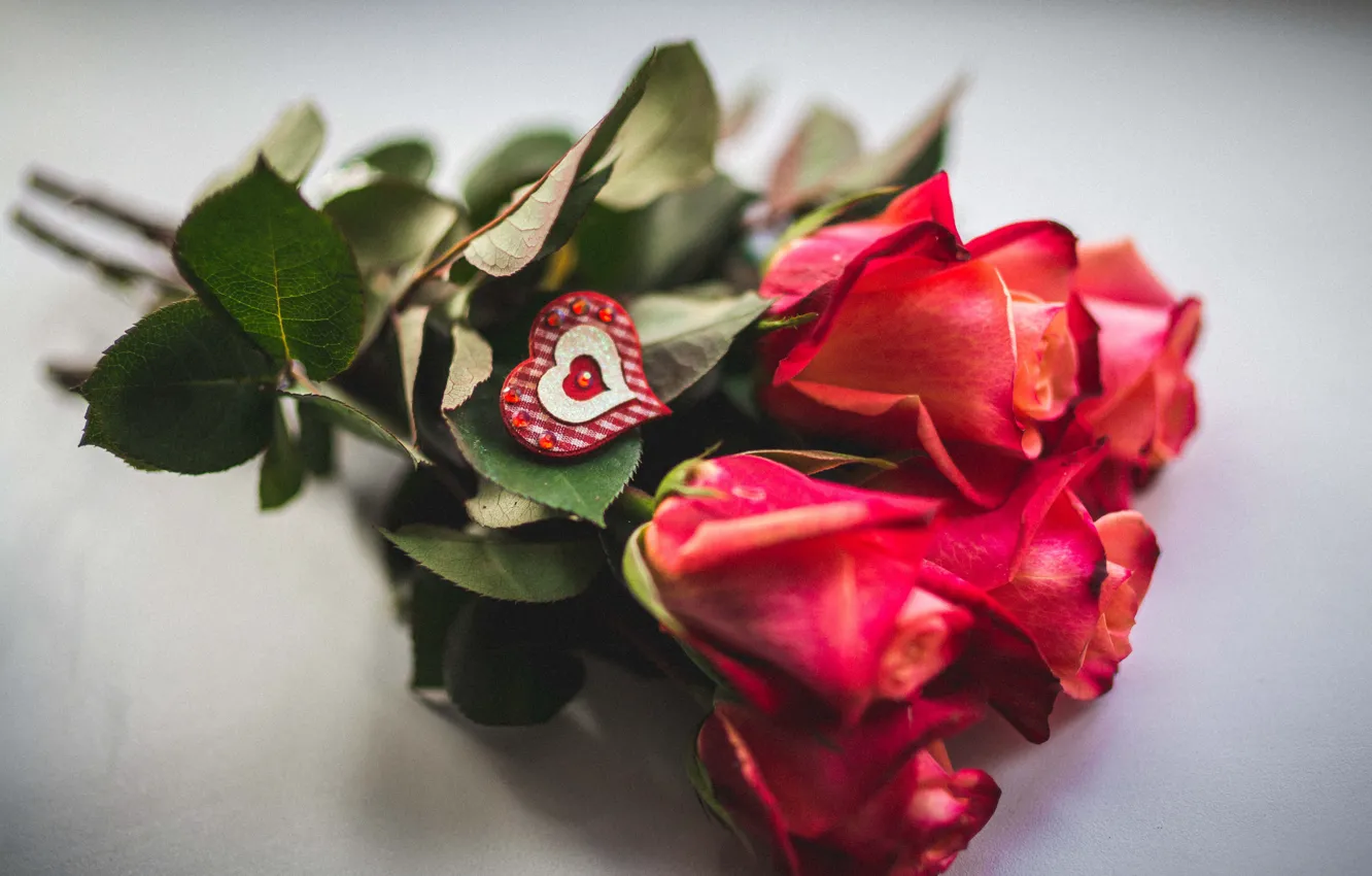 Photo wallpaper love, flowers, Valentine's day