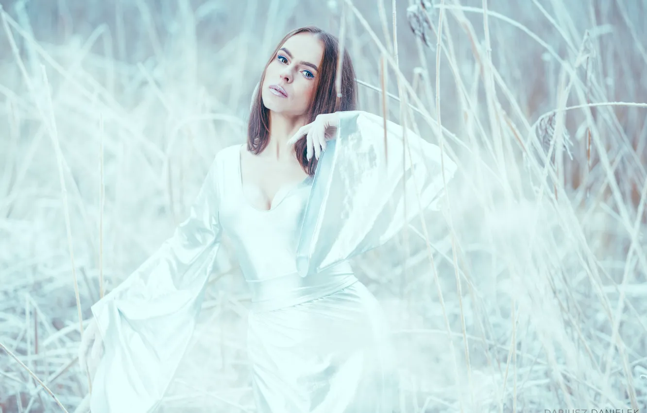 Photo wallpaper winter, frost, look, girl, snow, branches, nature, face