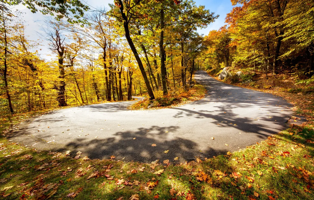 Photo wallpaper road, autumn, turn