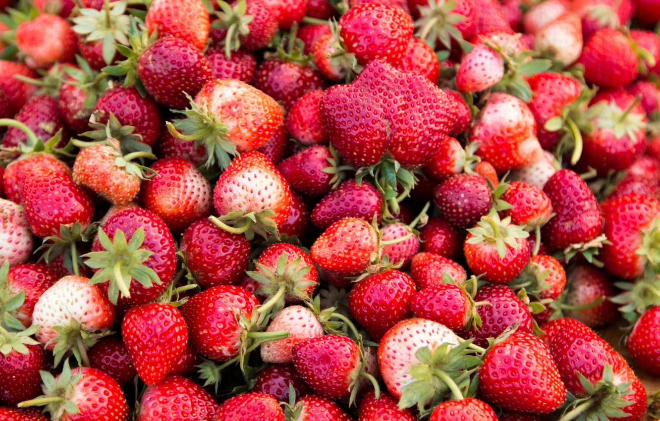 Photo wallpaper berries, strawberry, red, fresh, ripe, sweet, strawberry, berries