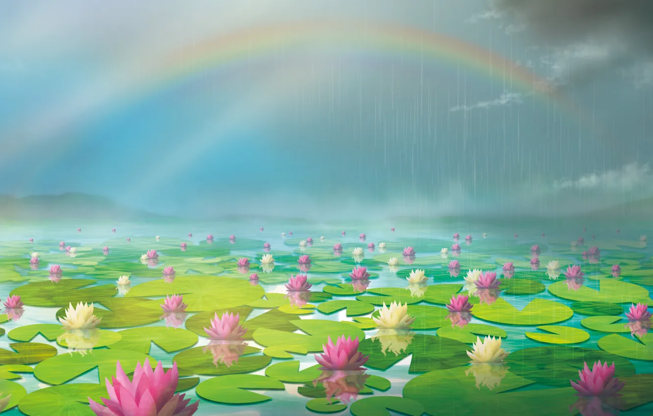 Photo wallpaper pond, rain, rainbow, water lilies