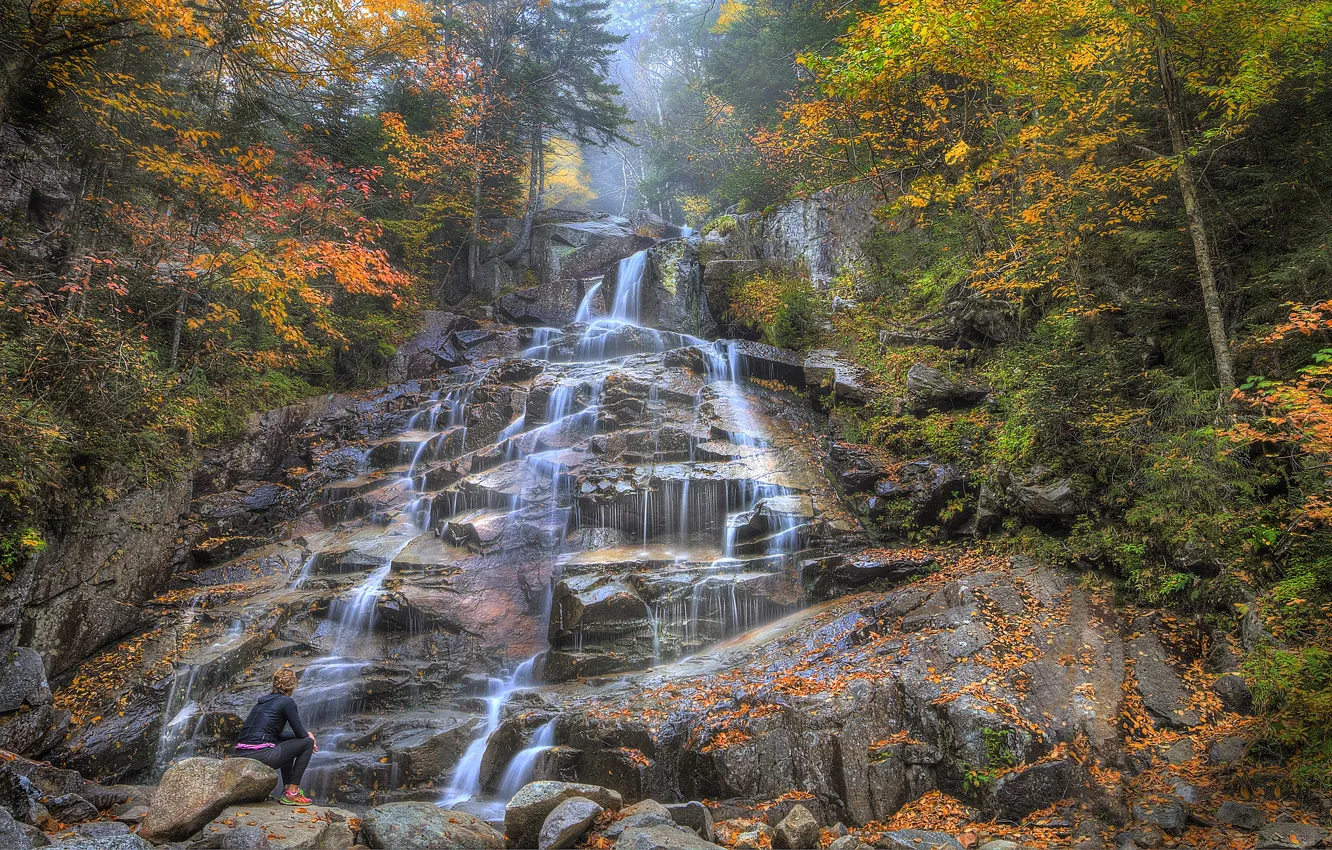 Photo wallpaper autumn, forest, trees, mountains, river, stones, rocks, waterfall