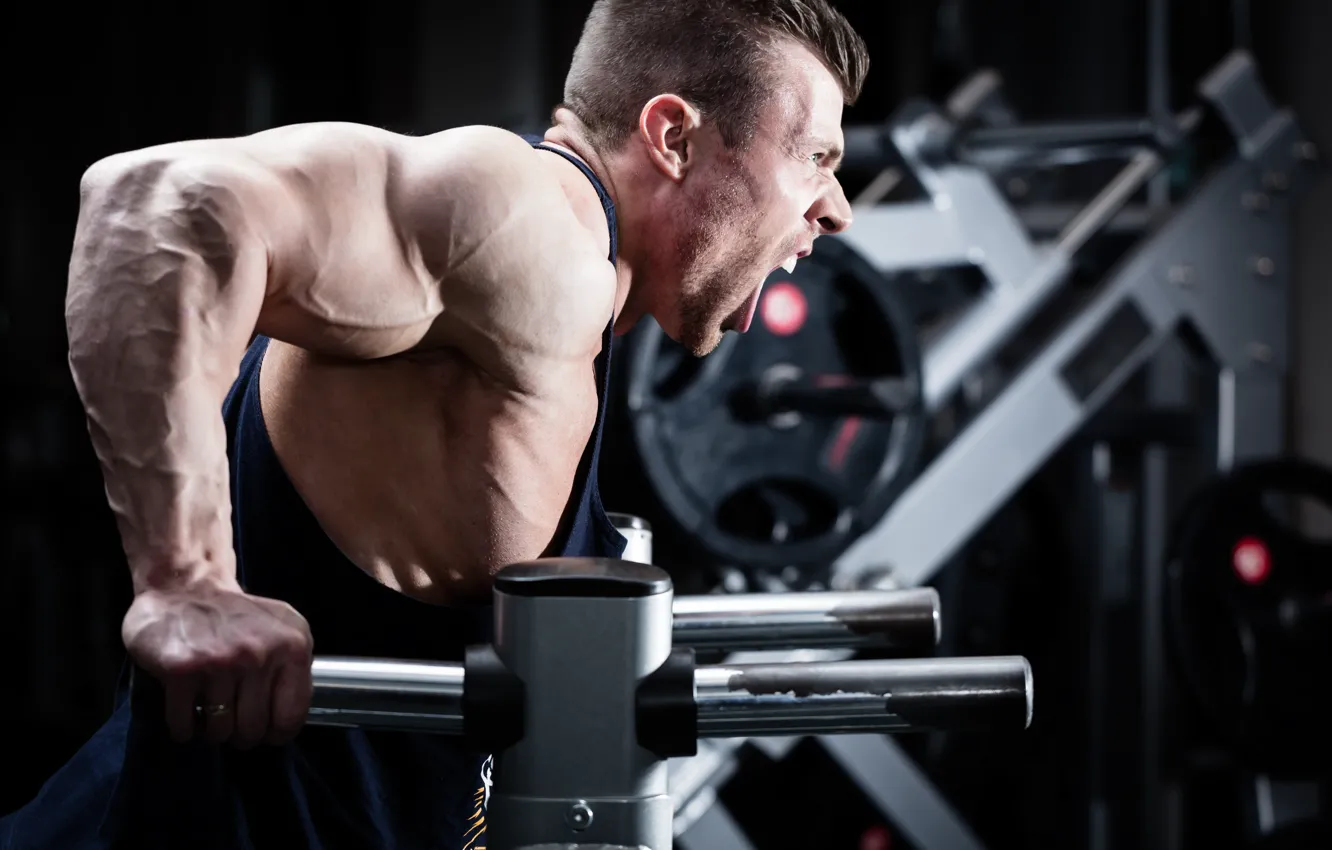 Photo wallpaper power, scream, strength, workout, bodybuilder, muscular arms, triceps