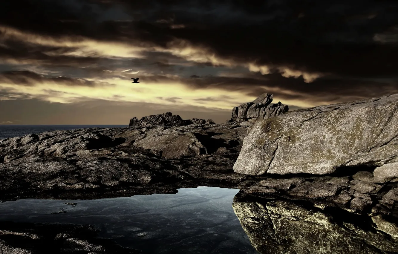 Photo wallpaper sea, night, rocks, bird