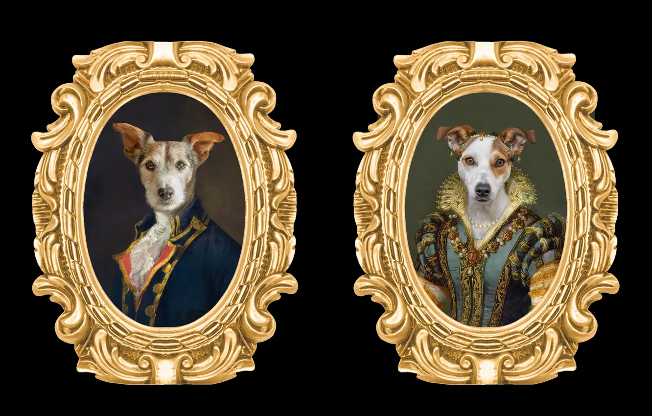 Photo wallpaper dogs, frame, portrait, pictures, image, black background, the middle ages