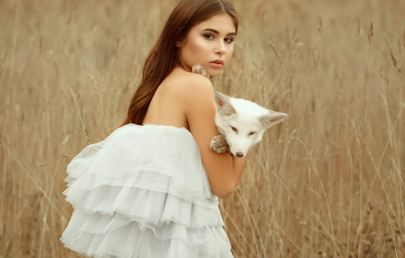Photo wallpaper look, girl, dress, Fox, Dasha, Anastasia Dobrovolskaya