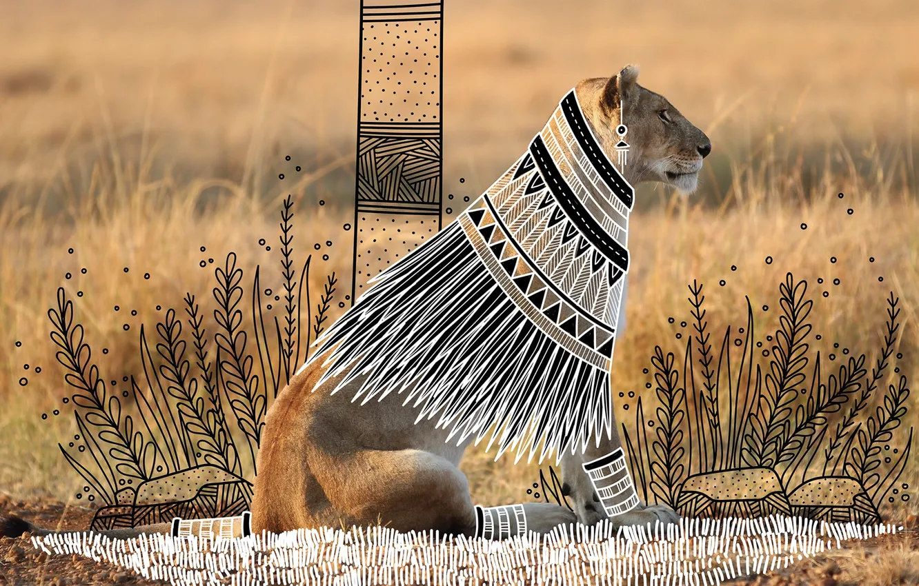 Photo wallpaper grass, look, Savannah, lioness, ANIMAL DOODLES