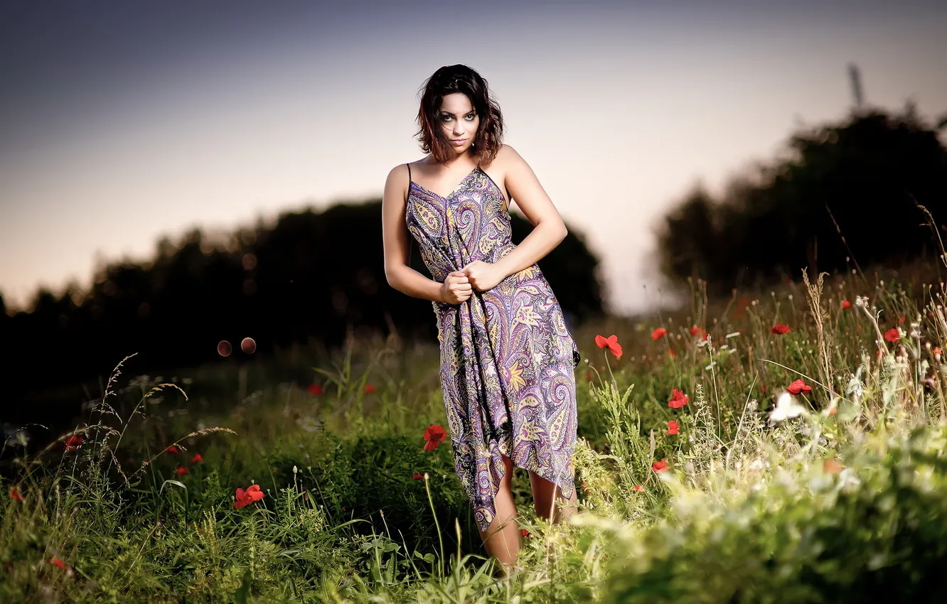 Photo wallpaper field, girl, night, Maki